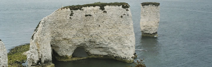 Lebensberater Diplom