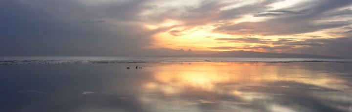 Lebensberater Diplom