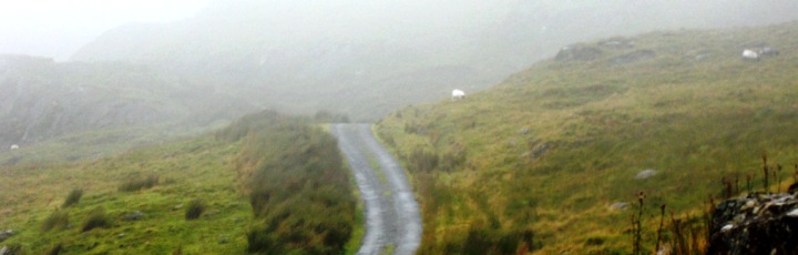 Lebensberater Diplom