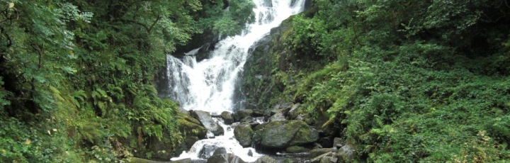 Lebensberater Diplom