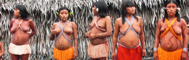 Lebensberater Diplom