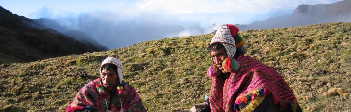 Lebensberater Diplom