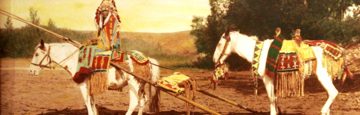 Lebensberater Diplom