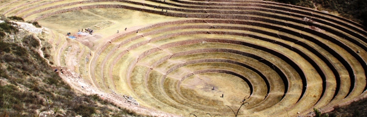 Lebensberater Diplom