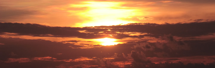 Lebensberater Diplom