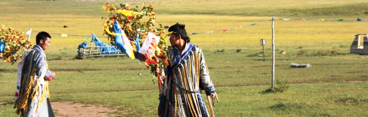 Lebensberater Diplom