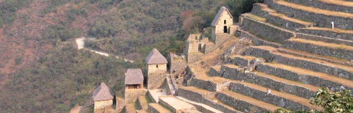 Lebensberater Diplom